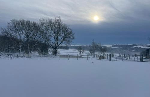 The Vogue Lodge - Photo 9