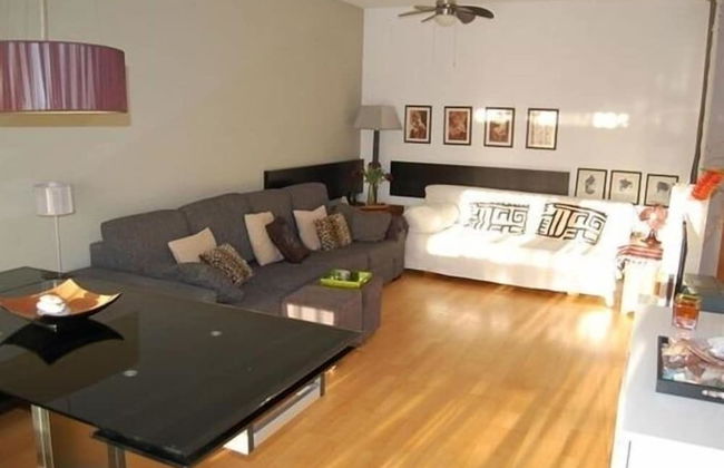 Piso Virginia-Vicente - Foto 1