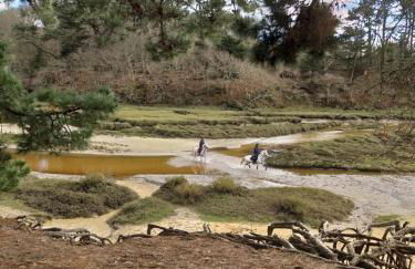 Holiday Home Lochrist Le Conquet - Foto 34
