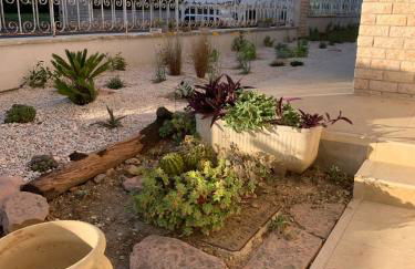 Assisi Suite Apartment con annessa Tavernetta La Lavanda - Foto 5