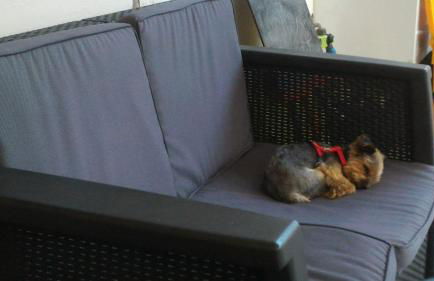 La Casa di Pamy - Foto 59