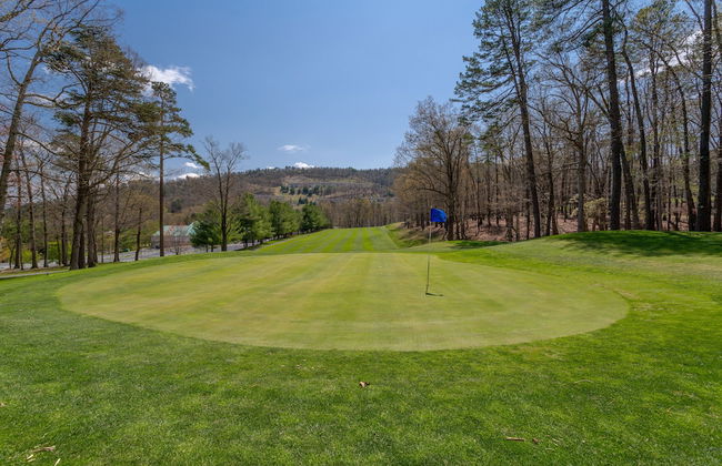 Massanutten's Woodstone Meadows by Tripforth - Foto 72