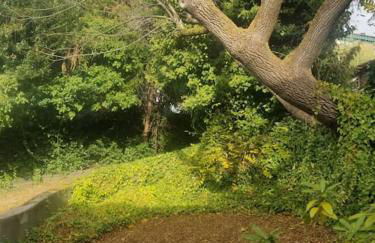 Tech, Travelling Nurse, UW, Seattle Lake Union, SU - Foto 13