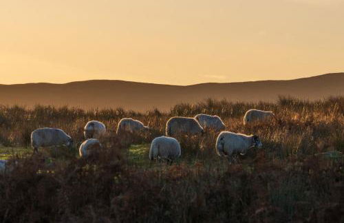 Kipney Farmhouse with hot tub - Photo 61