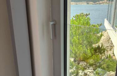 Shimmer & Shine - Foto 71