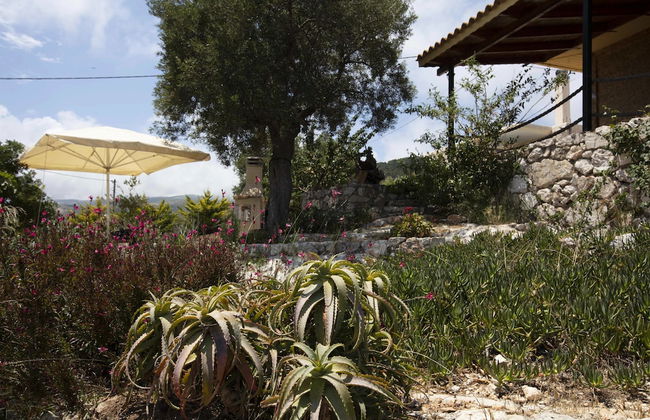 Anemos Studio - Foto 40