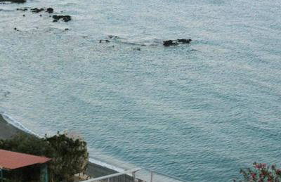 Stella Apartment - Foto 10