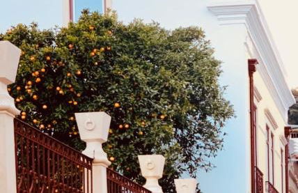 ESTÚDIO 81 junto à Sinagoga - Foto 49