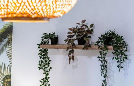 JunglAppart T3 Familial Proche Gare & Centre I Garage Inclus par CN Loc - Foto 21