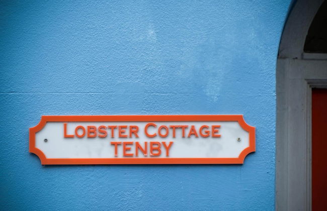 Lobster Cottage - 3 Bedroom Cottage - Tenby - Photo 55