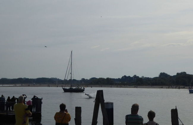 Reese Uitzicht op de Trave - Foto 6