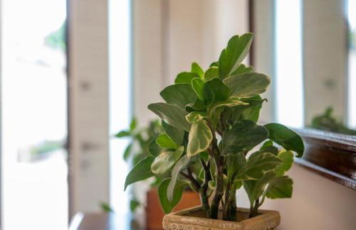 EnJoy Home - Appartamento Cielo - Il Canterale - Photo 16