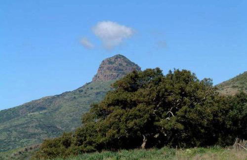 Turismo Rurale La Miniera Fiorita - Foto 58