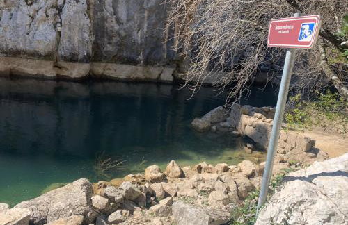 La Finca OliveTree - Foto 74