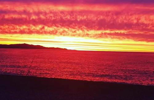 Location cap corse - Foto 14