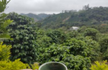 Chalé Pingo de Ouro - Foto 45