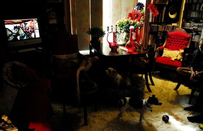 Boutique Bijoux Garden Flat in Vibrant Oval - Foto 32