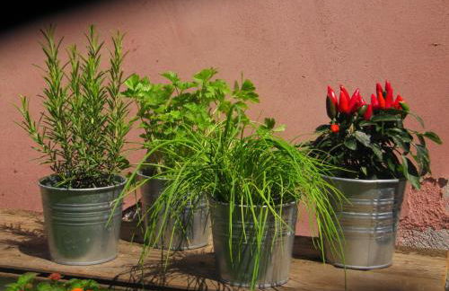 Terre del Cardinale Country Suites - Foto 45