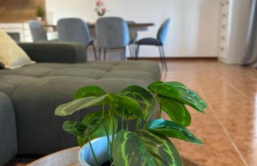 Villa Stina - Foto 29