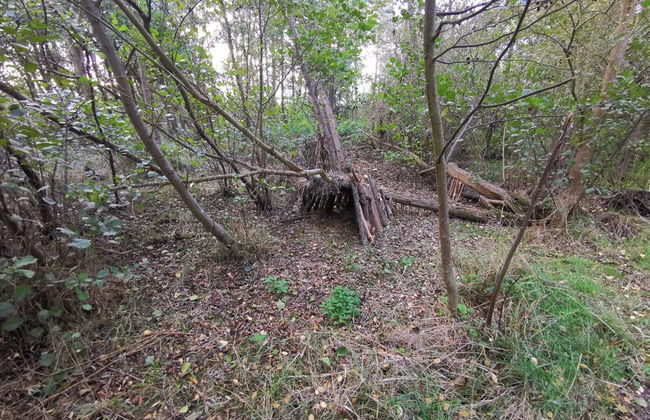 8 Person Holiday Home in Dannemare - Foto 7