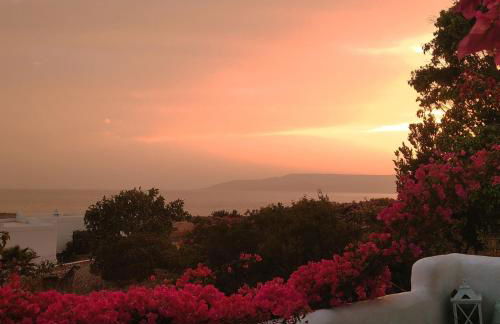 Λιογερμα - Foto 9