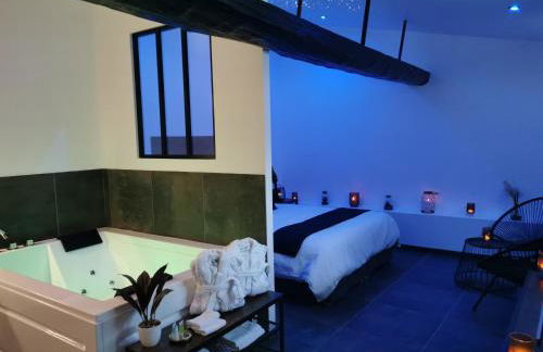 Les Sansonnets Appart & Spa - Foto 26