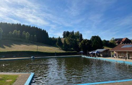 Apartment Schwarzwald-Anni Pool Tennis Sauna - Foto 28