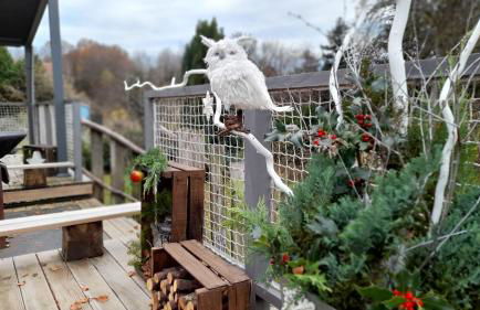 La Loge du Pic Noir - Photo 23