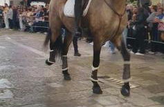 Villa Margherita - Foto 70