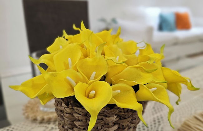 The Infinity - Foto 64