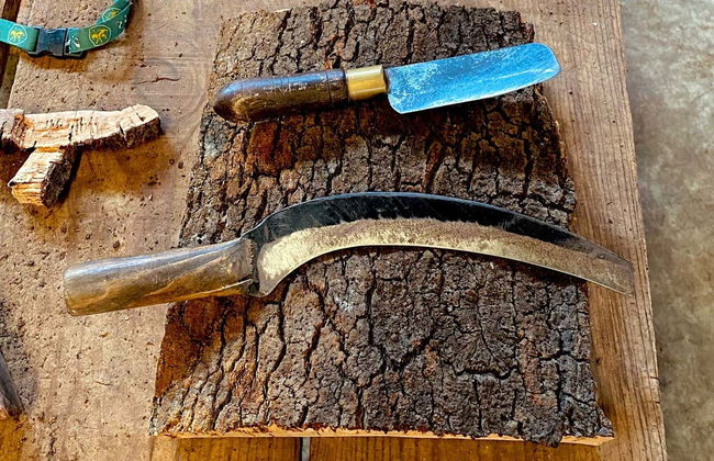 Visita a una fabbrica di sughero - Foto 8