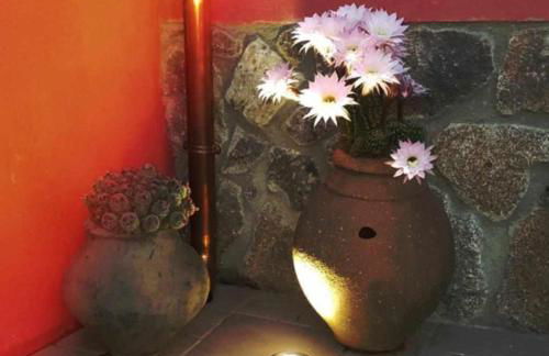 Casa Rural Rojo del Tietar - Photo 8