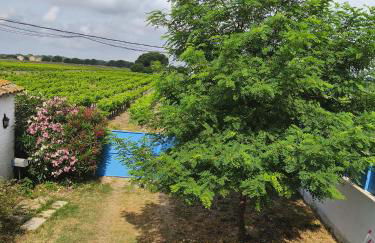 La maison d Adélaïde - Foto 9