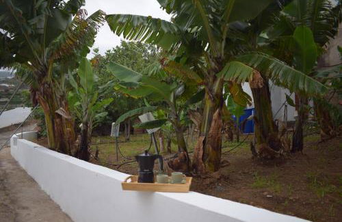 Chicho's Home - Foto 28