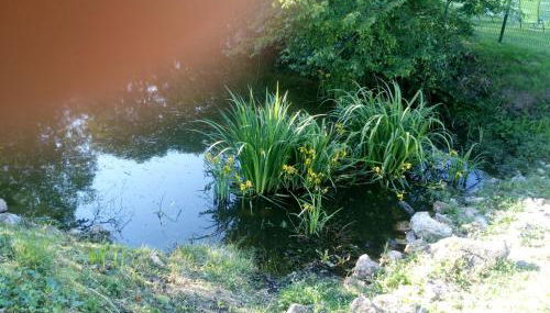 Gite La Trotiniere - Foto 4, Garden