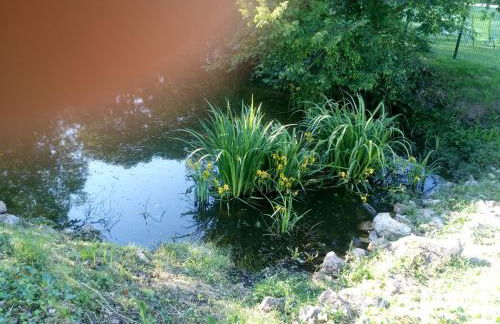 Gite La Trotiniere - Foto 4