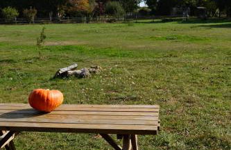 Cabane en A La Pause Sauvage Normandie - Foto 23