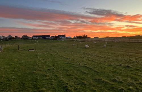 Seaview luxury pod - Photo 29