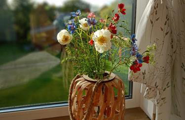 Żuraw i Czapla - Foto 24