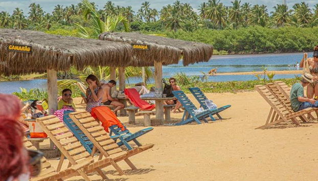 Immerse yourself in Brazilian nature