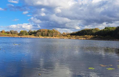 Łabądkowo - Foto 65