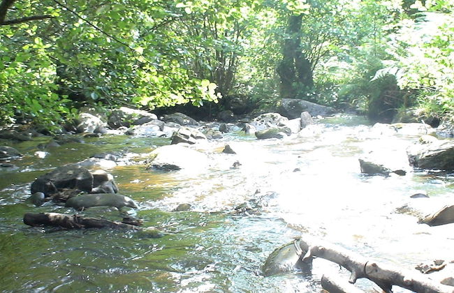 Country Retreats at Butterstone - Photo 10