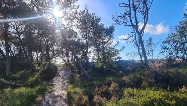 6 Person Holiday Home in Romo-by Traum - Foto 4, Miscelánea