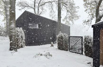 The Badger - Foto 39