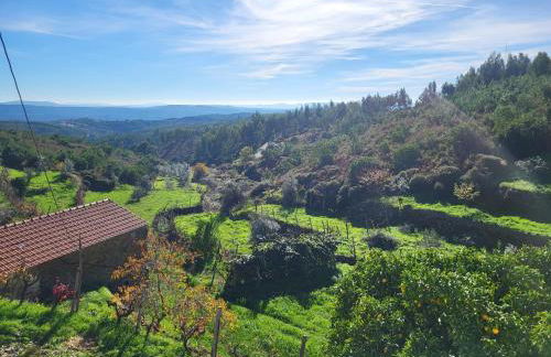 Quinta Dos Kiwis - Foto 16