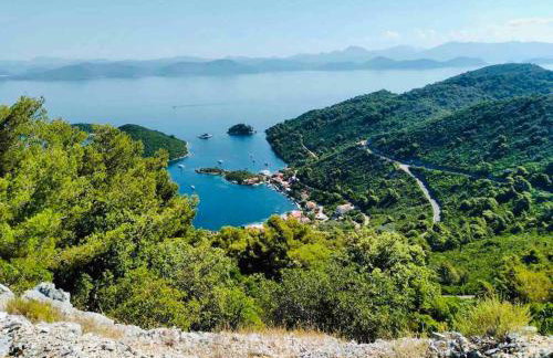 LILY's Peaceful Oasis- BRAND NEW - Foto 28