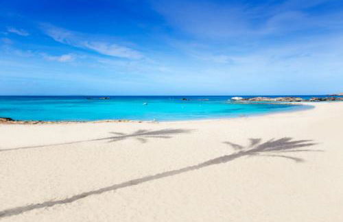 Apartamentos Catalina - Foto 6