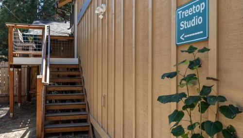 Bluebird Day - Treetop Studio - Foto 5