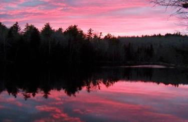 Robinson's Cottages - Foto 15