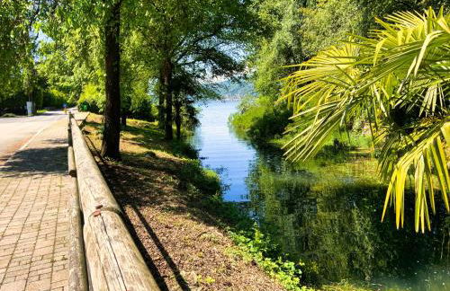 This is my happy place - Photo 49